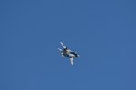 Dcim18212/DSC_2598