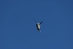 Dcim18212/DSC_2599