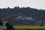 Dcim18212/DSC_2602