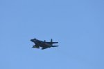 Dcim18213/DSC_2742