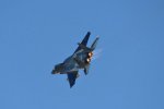 Dcim18213/DSC_2774