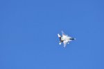 Dcim18213/DSC_2784