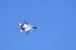 Dcim18214/DSC_2896