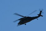 Dcim18215/DSC_2979