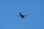 Dcim18216/DSC_3079