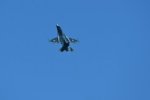 Dcim18216/DSC_3080