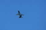 Dcim18216/DSC_3081