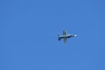 Dcim18216/DSC_3088