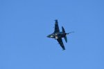 Dcim18216/DSC_3110