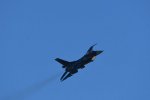 Dcim18216/DSC_3116