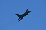 Dcim18216/DSC_3117