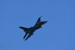 Dcim18216/DSC_3118