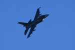 Dcim18216/DSC_3119