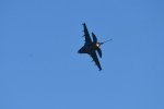 Dcim18216/DSC_3144