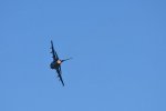 Dcim18216/DSC_3145
