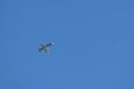 Dcim18216/DSC_3151