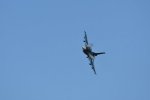 Dcim18216/DSC_3185