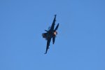 Dcim18217/DSC_3195