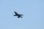Dcim18217/DSC_3252