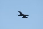 Dcim18217/DSC_3254