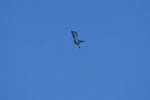 Dcim18217/DSC_3268