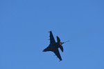 Dcim18217/DSC_3280