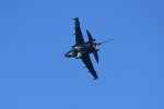 Dcim18217/DSC_3296