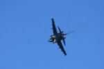 Dcim18217/DSC_3297
