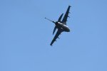 Dcim18217/DSC_3313