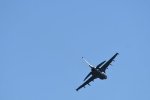 Dcim18217/DSC_3314