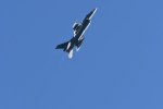 Dcim18218/DSC_3338