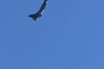 Dcim18218/DSC_3340