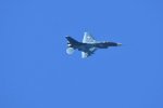 Dcim18218/DSC_3342