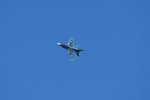 Dcim18218/DSC_3360