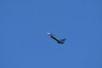 Dcim18218/DSC_3362