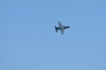 Dcim18218/DSC_3393