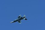 Dcim18218/DSC_3423