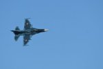 Dcim18219/DSC_3444