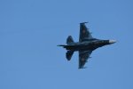 Dcim18219/DSC_3449