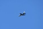 Dcim18219/DSC_3484