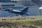 Dcim18219/DSC_3493