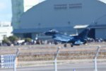 Dcim18219/DSC_3510