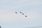 Dcim18219/DSC_3540