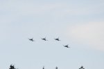 Dcim18219/DSC_3543