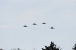 Dcim18219/DSC_3544