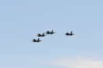 Dcim18219/DSC_3547