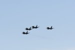 Dcim18219/DSC_3548