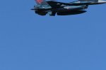 Dcim18220/DSC_3659