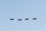 Dcim18220/DSC_3668