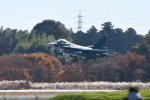 Dcim18221/DSC_3729